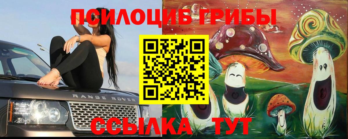 Псилоцибиновые грибы GOLDEN TEACHER  Галлюциногенные грибы Psilocybe  Дедовск  Вход с VPN 